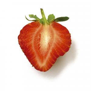 草莓縱切面