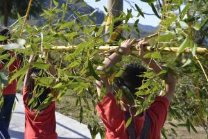 博屋瑪國小學生採集竹子