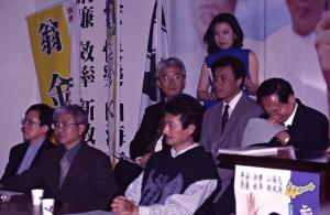 1997臺灣縣市長選舉 - 民進黨 - 民進黨慶