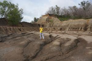 汶萊化石採集
