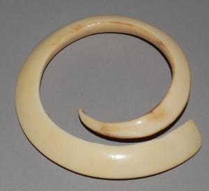 野豬獠牙（萬那杜）  Boar tusk (Vanuatu)