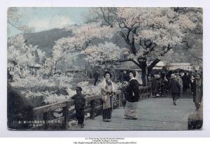 （花之名所）高遠公園入口