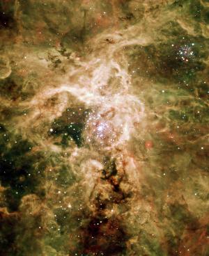 超新星遺骸NGC 2060