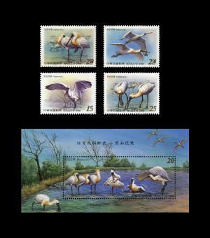 保育鳥類郵票－黑面琵鷺