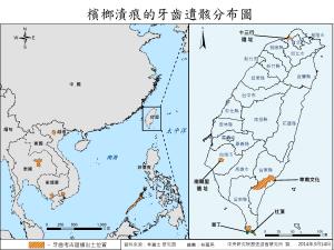 檳榔漬痕的牙齒遺骸分布圖