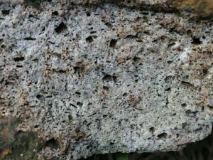 斑晶礦物已被溶蝕的矽化安山岩