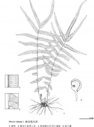 KIN-01-53