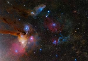 Northern Scorpius