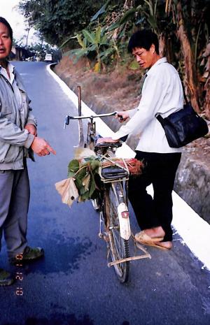 雲南居民採山地秋海棠來餵豬