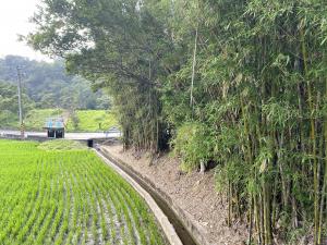 小茅埔圳水道（埔坪橋旁）