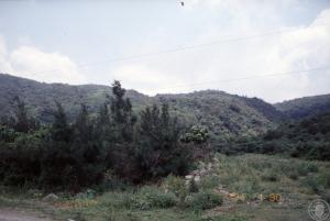 南仁山遺址田野照片