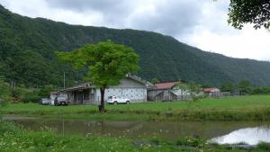 遠觀《獵與織．重逢半世紀》展場建築（左）與風景