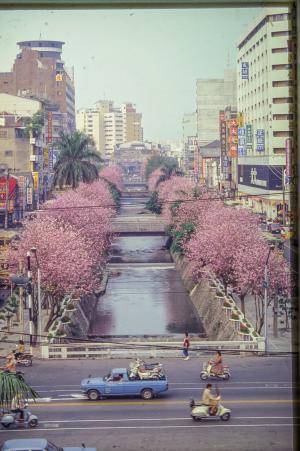 綠川-同心花園