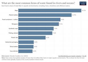 在河流和海洋中最常見的垃圾是什麼？