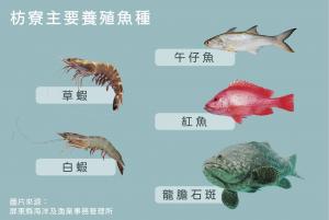 枋寮主要養殖魚種