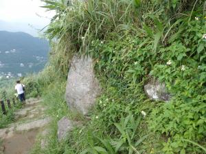 登山步道旁的安山岩露頭