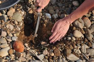 挖出來的砂土材料要盡可能回收，不要有漏網之魚