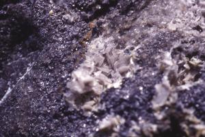 與細小硫砷銅礦共生的明礬石