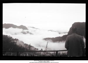 Above the clouds on Alishan
