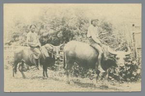 People on Oxen