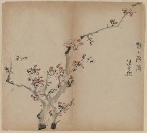 Peach Blossoms