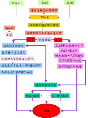 中央研究院魚類標本典藏工作流程