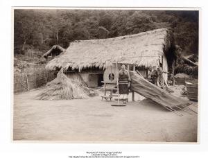 Woman and Rice-threshing Equipment