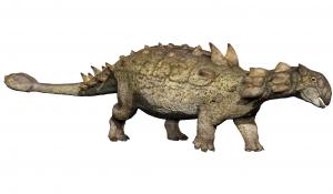 包頭龍Euoplocephalus