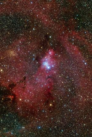 NGC 2264 Christmas Tree