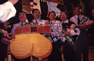 1997臺灣縣市長選舉 - 民進黨 - 民進黨慶