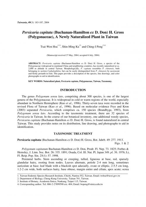 Persicaria capitata (Buchanan-Hamilton ex D. Don) H. Gross (Polygonaceae), a newly naturalized plant in Taiwan