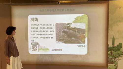 台北飛羽展覽互動牆示範