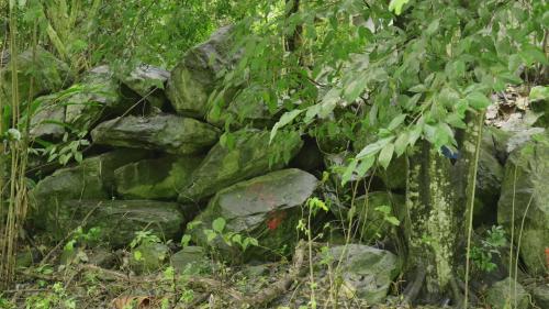 相遇干城_花蓮縣吉安鄉干城村紀實