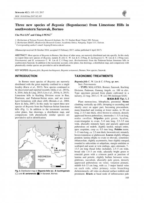 Three new species of Begonia (Begoniaceae) from limestone hills in southwestern Sarawak, Borneo