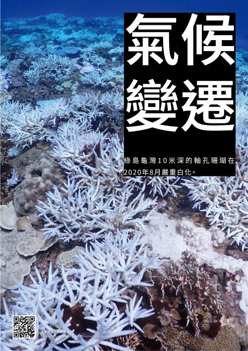 氣候變遷—軸孔珊瑚白化