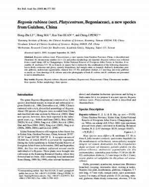 Begonia rubinea (sect. Platycentrum, Begoniaceae), a new species from Guizhou, China.