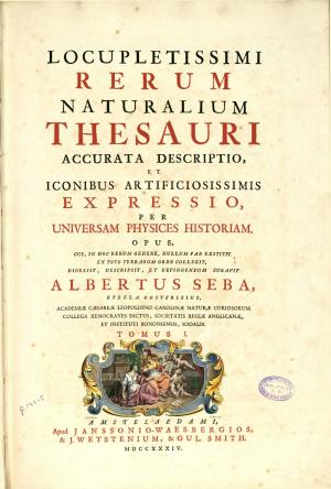 施巴自然百科 Thesaurus rerum naturalium