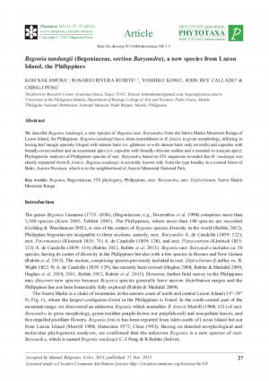 Begonia tandangii (Begoniaceae, section Baryandra), a new species from Luzon Island, the Philippines