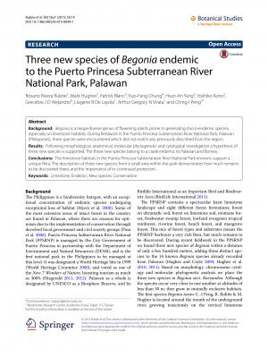 Three new species of Begonia endemic to the Puerto Princesa Subterranean River National Park, Palawan