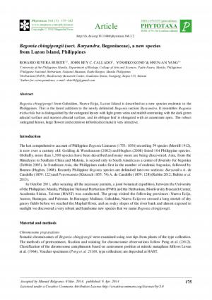 Begonia chingipengii (sect. Baryandra, Begoniaceae), a new species from Luzon Island, Philippines