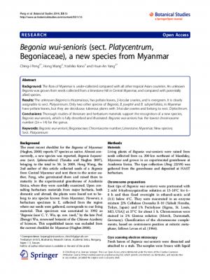 Begonia wui-senioris (sect. Platycentrum, Begoniaceae), a new species from Myanmar