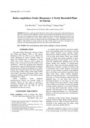 Rubus amphidasys Focke (Rosaceae): a newly recorded plant in Taiwan