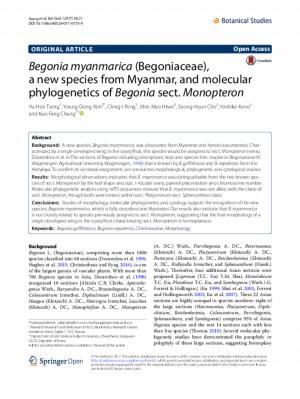 Begonia myanmarica (Begoniaceae), a new species from Myanmar, and molecular phylogenetics of Begonia sect. Monopteron