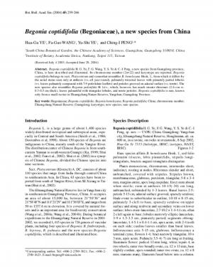 Begonia coptidifolia (Begoniaceae), a new species from China.