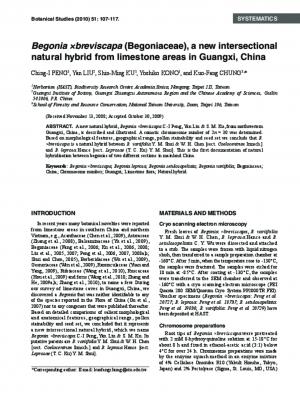 Begonia ×breviscapa (Begoniaceae), a new intersectional natural hybrid from limestone areas in Guangxi, China.